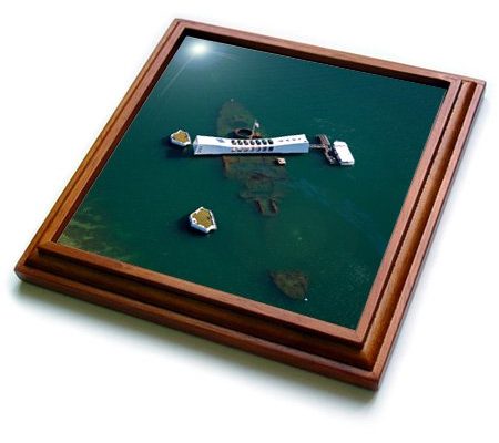 3dRose trv_230650_1 Pearl Harbor Uss Arizona Memorial Oahu Hawaii Trivet with Ceramic Tile, 8 x 8, Natural Review