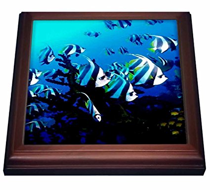 3dRose trv_26847_1 Deep Blue Sea Life Creatures Trivet with Ceramic Tile, 8 by 8″, Brown Review