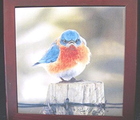 Songbird Essentials SEEK5500 Mad Bluebird, Trivet (Set of 1) Review