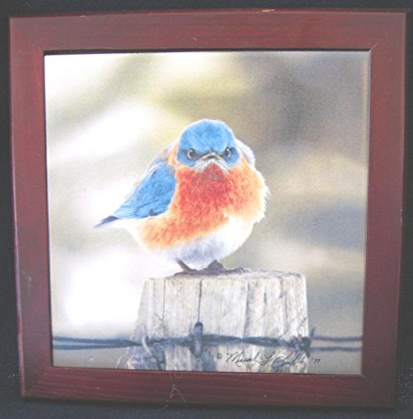 Songbird Essentials SEEK5500 Mad Bluebird, Trivet (Set of 1)