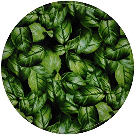 Andreas Silicone Trivet, Basil, 10 Inch