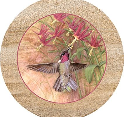 Thirstystone Sandstone Trivet Winged Jewel Review