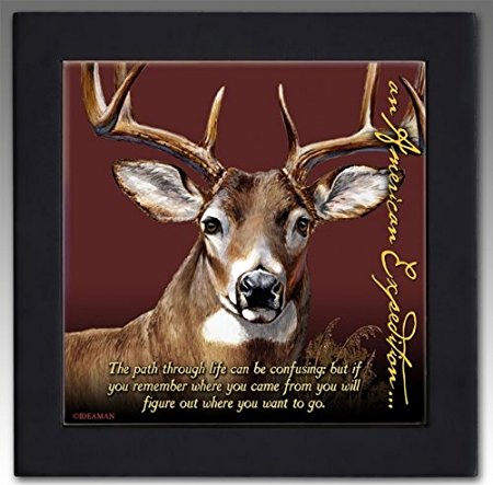 Wildlife Decorative Wood Framed Kitchen Trivet (Whitetail Deer)