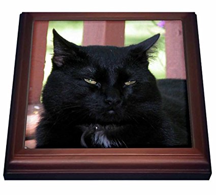 3dRose trv_23930_1 Black Cat Trivet with Ceramic Tile, 8 by 8