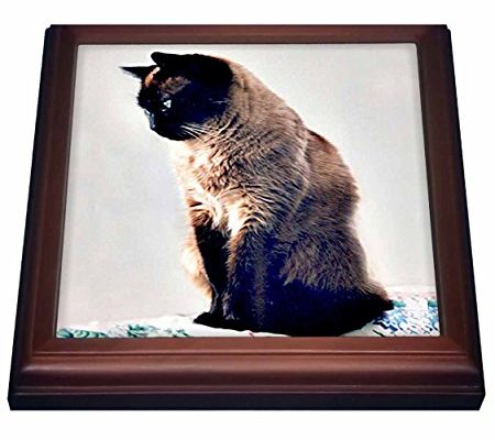 3dRose trv_645_1 Siamese Cat Trivet with Ceramic Tile, 8 by 8″, Brown Review