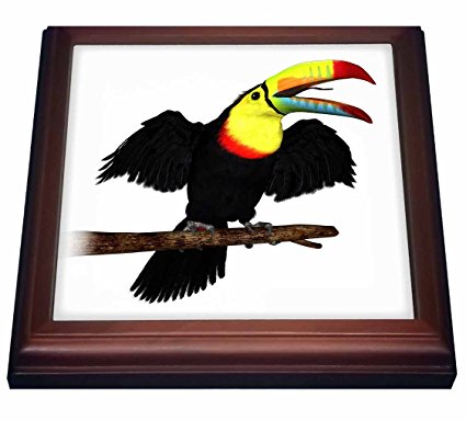 3dRose trv_77193_1 Keel-Bill Toucan Trivet with Ceramic Tile, 8 by 8″, Brown Review