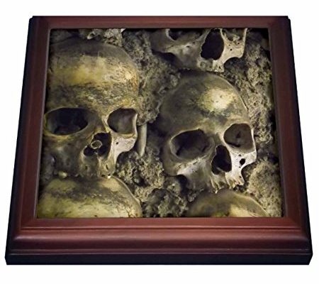 3dRose trv_100285_1 Skulls, Chapel of Bones, Evora, Portugal Trivet with Ceramic Tile, 8″ by 8″, Brown Review