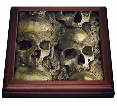 3dRose trv_100285_1 Skulls, Chapel of Bones, Evora, Portugal Trivet with Ceramic Tile, 8