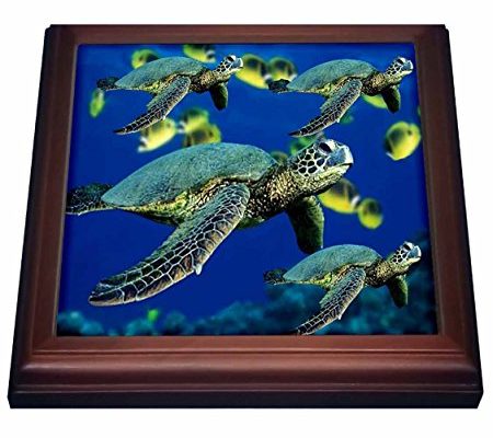 3dRose trv_26849_1 Sea Turtles Trivet with Ceramic Tile, 8 by 8″, Brown Review