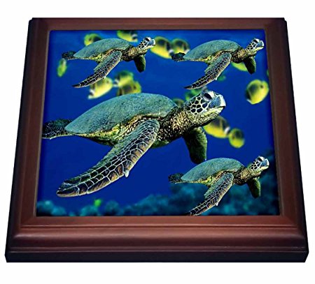 3dRose trv_26849_1 Sea Turtles Trivet with Ceramic Tile, 8 by 8