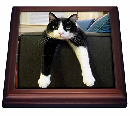 3dRose trv_23450_1 Black and White Cat with Nothing to Do Trivet with Ceramic Tile, 8 by 8″, Brown Review