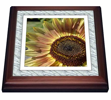 3dRose trv_41144_1 White Marble Print Frame-Sunflower-Flowers-Photography Trivet with Ceramic Tile, 8 by 8