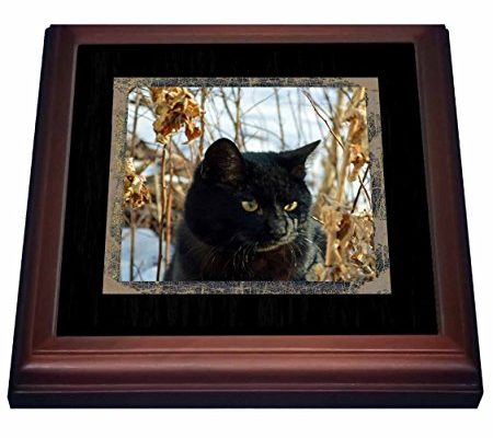 3dRose trv_180845_1 Beautiful Black Cat with Gold Eyes in the Garden in the Winter Trivet with Ceramic Tile, 8″ x 8″, Brown Review