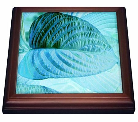 3dRose trv_221012_1 Print of Unique View Of Teal Leaf Close Up Trivet with Ceramic Tile, 8″ x 8″, Brown Review