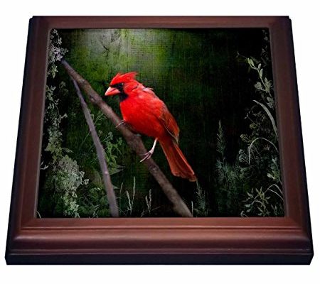 3dRose trv_48670_1 Wild Brid-Cardinal Bird in Spring-Art Home Decor Trivet with Ceramic Tile, 8 by 8″, Brown Review