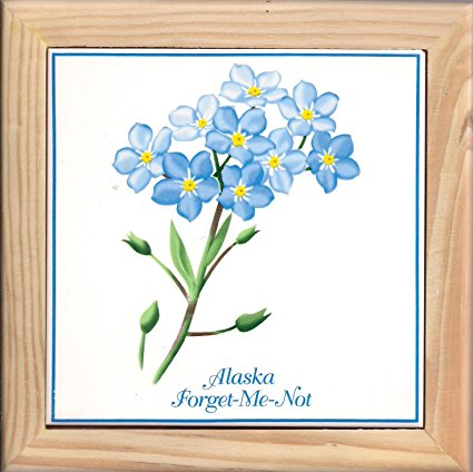 Alaska Forget-Me-Not Wood Framed Ceramic Trivet