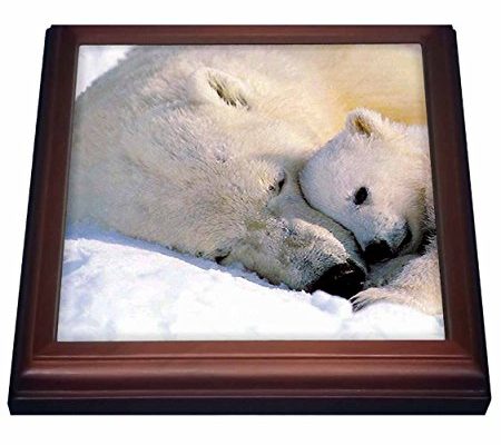 3dRose trv_516_1 Polar Bear and Cub Trivet with Ceramic Tile, 8 by 8″, Brown Review