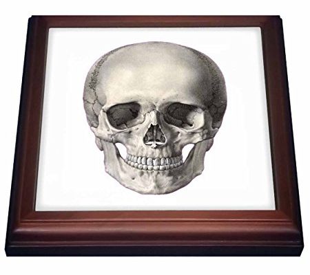 3dRose trv_29031_1 Skull in Positive Trivet with Ceramic Tile, 8 by 8″, Brown Review