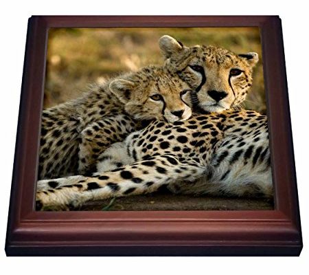 3dRose trv_71059_1 Cheetah with Cub in The Masai Mara Gr, Kenya AF21 JMC0167 Joe and Mary Ann Mcdonald Trivet with Ceramic Tile, 8 by 8″, Brown Review