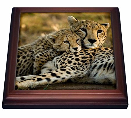 3dRose trv_71059_1 Cheetah with Cub in The Masai Mara Gr, Kenya AF21 JMC0167 Joe and Mary Ann Mcdonald Trivet with Ceramic Tile, 8 by 8