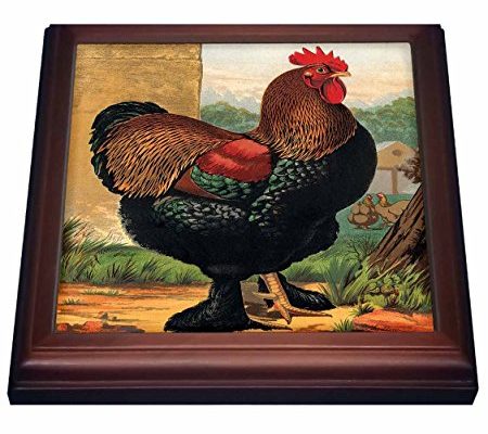 3dRose trv_221964_1 vintage Partridge Cochin Rooster Dark green & Brown Trivet with Ceramic Tile, 8 x 8, Natural Review