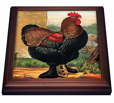 3dRose trv_221964_1 vintage Partridge Cochin Rooster Dark green & Brown Trivet with Ceramic Tile, 8 x 8, Natural