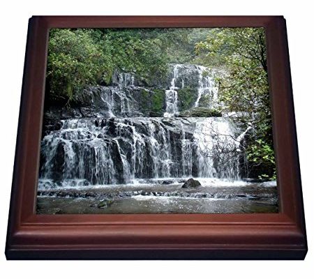 3dRose trv_22819_1 Stunning Purakaunui Waterfall Rainforest of The Catlins New Zealand Trivet with Ceramic Tile, 8 by 8″, Brown Review