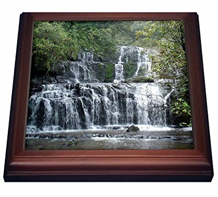 3dRose trv_22819_1 Stunning Purakaunui Waterfall Rainforest of The Catlins New Zealand Trivet with Ceramic Tile, 8 by 8